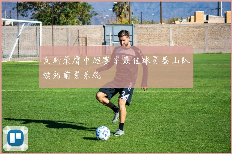 瓦科荣膺中超赛季最佳球员泰山队续约前景乐观