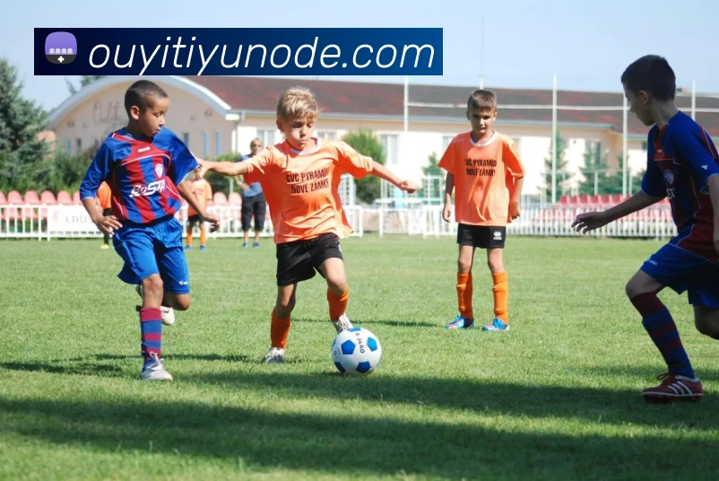 欧亿体育APP 封面图